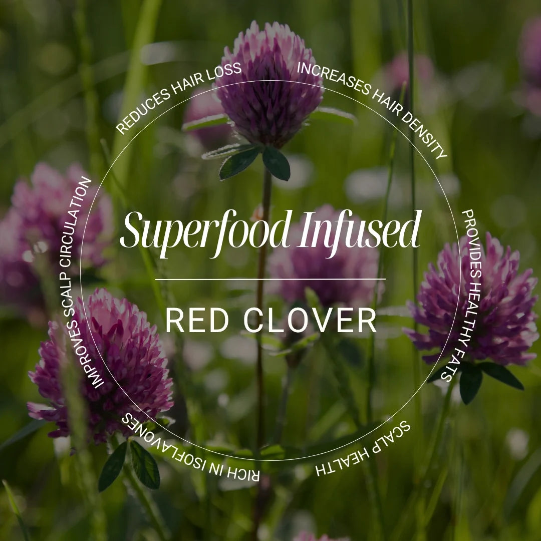 BIOTOP 04 Shedding Shampoo 1L