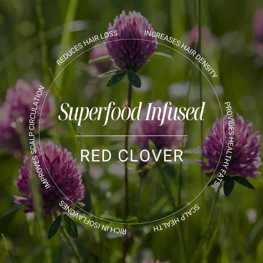 BIOTOP 04 Shedding Hair Shedding Treatment (Ampules)