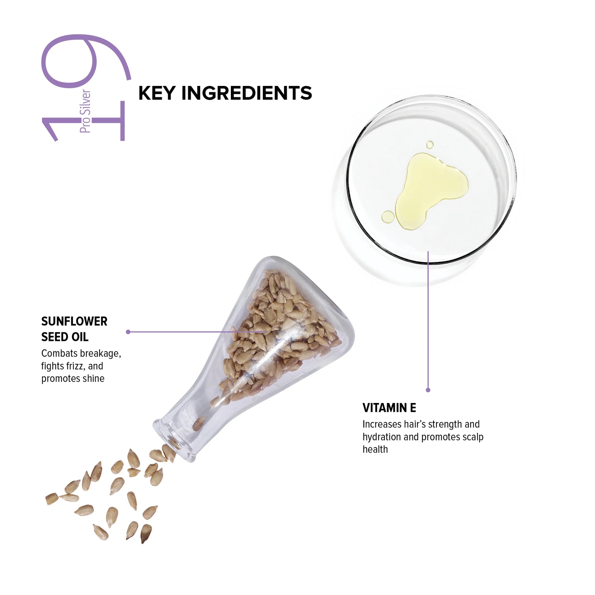 BIOTOP 19 Pro Silver Shampoo 250ml